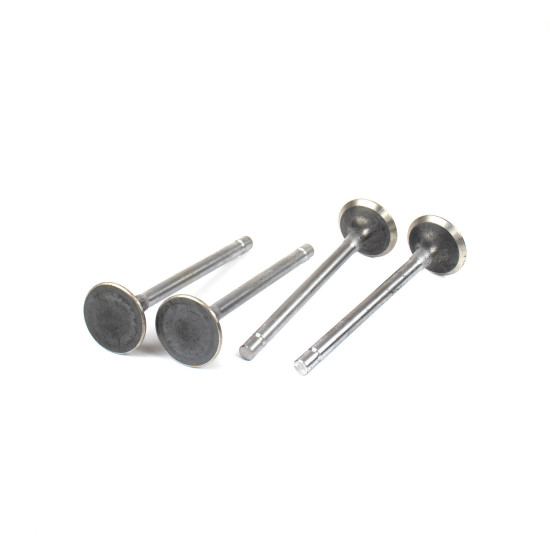 Exhaust Valve Isuzu 8980169741 Genuine