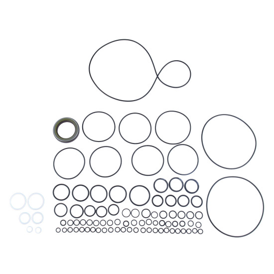 Seal kit pump Caterpillar 250-2503 SKS