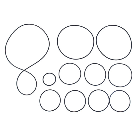 Seal kit pump Caterpillar 250-2503 SKS