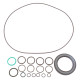 Seal kit pump Bosch Rexroth R910941170 SKS