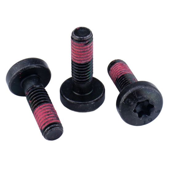 Screw Bosch Rexroth R902602493 SKS