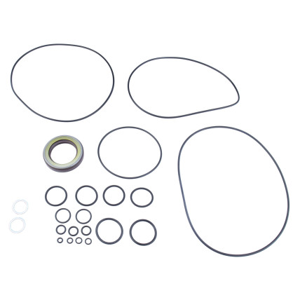 Seal kit motor Kawasaki M2X150, M2X170 SKS