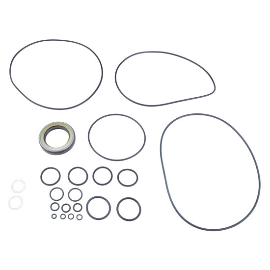 Seal kit motor Kawasaki M2X150, M2X170 SKS