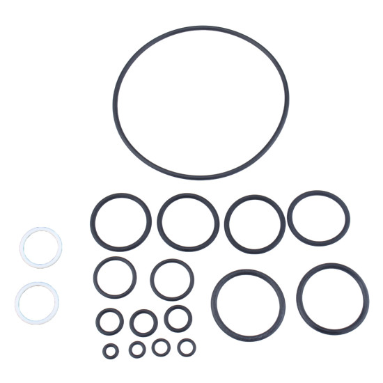 Seal kit motor Kawasaki M2X150, M2X170 SKS