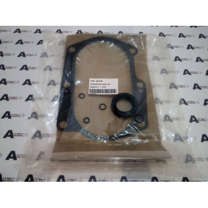 Seal kit pump Hitachi 4451036 AFM