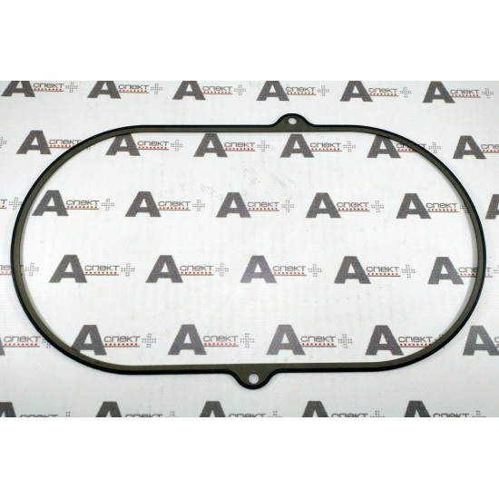 Head cover Gasket Kawasaki 0820439 AFM