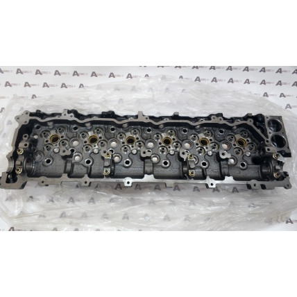 Cylinder Head Isuzu 8976069968 QINGLING