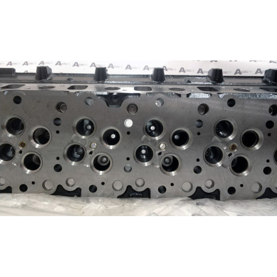 Cylinder Head Isuzu 8976069968 QINGLING