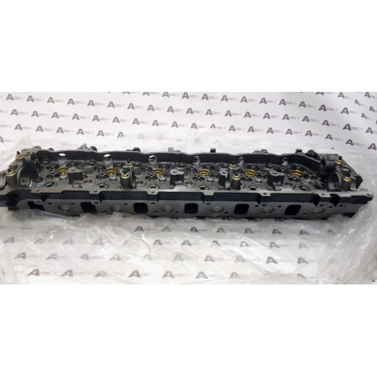 Cylinder Head Isuzu 8976069968 QINGLING
