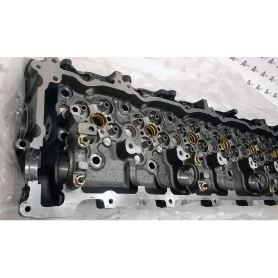 Cylinder Head Isuzu 8976069968 QINGLING