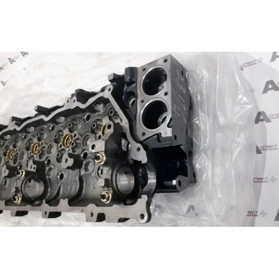 Cylinder Head Isuzu 8976069968 QINGLING