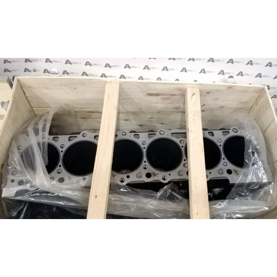 Engine Cylinder Block Isuzu 8980052794 QINGLING