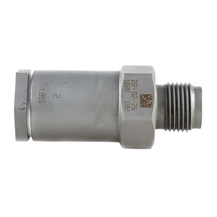 Pressure Relief Valve 1110010020 Bosch Genuine