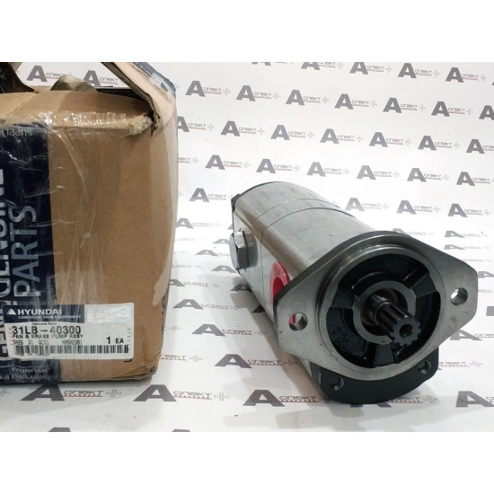 Hydraulic Pump assembly Hyundai 31LB-40300 HYUNDAI