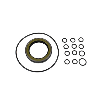 Seal kit pump Hitachi 4471487 AFM