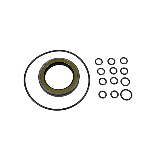 Seal kit pump Hitachi 4471487 AFM