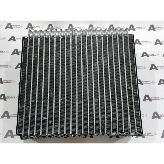 Evaporator Hitachi 4469056 AFM