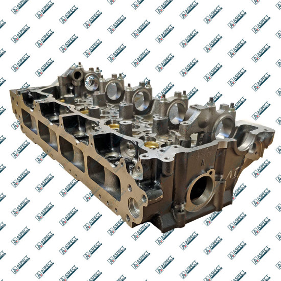 Cylinder Head Isuzu 8981706171 QINGLING