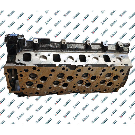 Cylinder Head Isuzu 8981706171 QINGLING