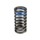Valve Spring Isuzu 8943958840 Genuine
