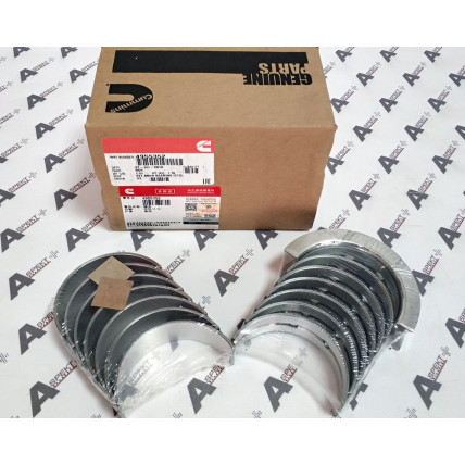Crankshaft Bearings Set Cummins 4955352 CUMMINS