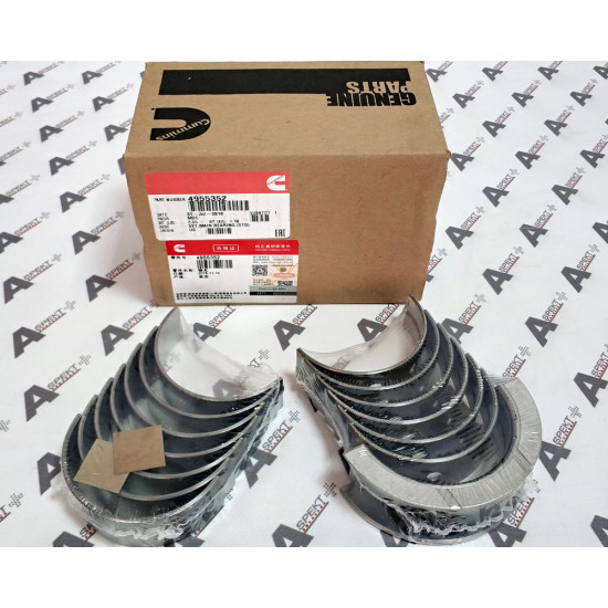 Crankshaft Bearings Set Cummins 4955352 CUMMINS