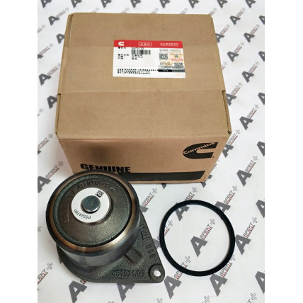 Water Pump Gasket Cummins 5473172 CUMMINS