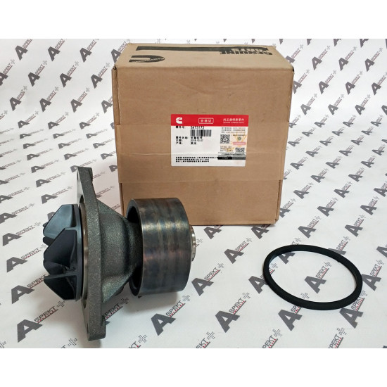 Water Pump Gasket Cummins 5473172 CUMMINS