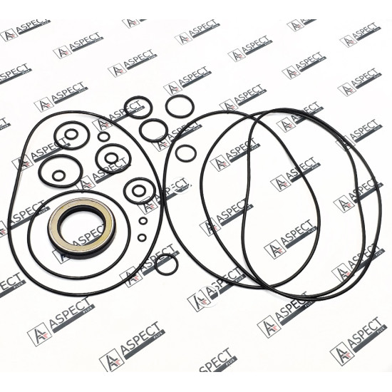 Seal kit motor Kawasaki 0365328 NOK AFM