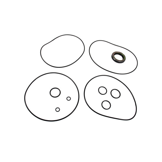 Seal kit motor Kawasaki VOE14601385 YBS