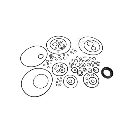 Seal kit pump Kawasaki 401107-01037 YBS