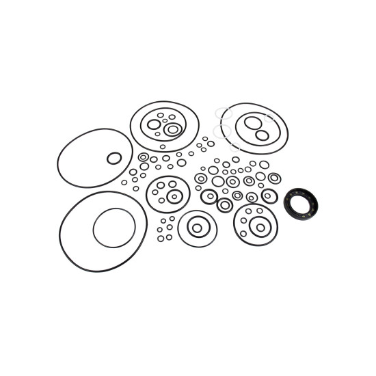 Seal kit pump Kawasaki 401107-01037 YBS