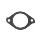 Thermostat Gasket Isuzu 8972646901 Genuine