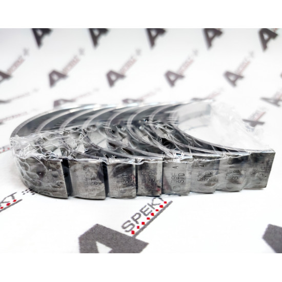 Crankshaft Bearings set Isuzu 8980890850 Genuine