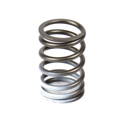 Valve Spring Isuzu 8970346291 Genuine