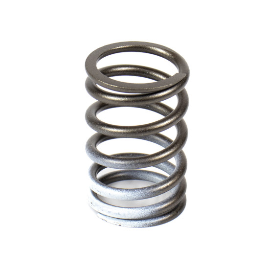 Valve Spring Isuzu 8970346291 Genuine