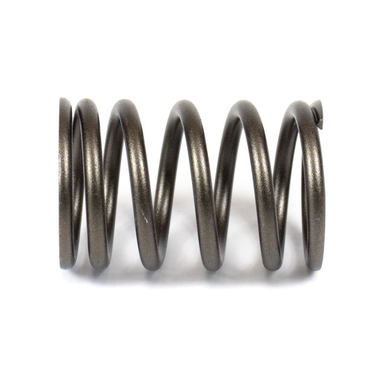 Valve Spring Isuzu 8970346291 Genuine
