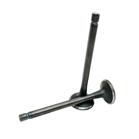 Exhaust Valve Isuzu 8942478752 Genuine