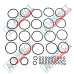 Main control valve Seal kit JCB 25/223025 WYS - 1