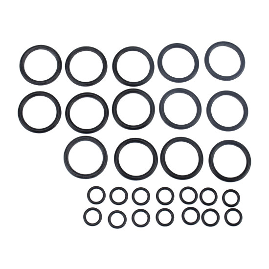 Main control valve Seal kit JCB 25/223025 WYS