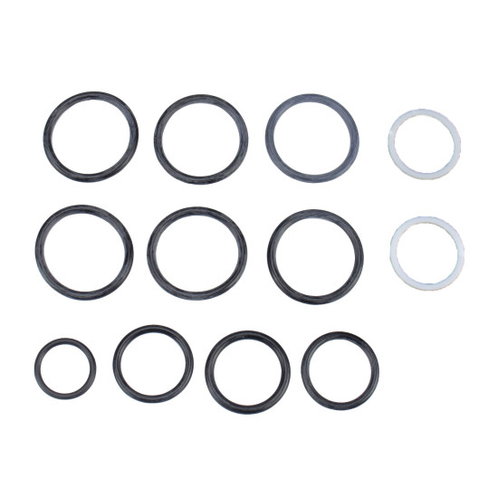 Main control valve Seal kit JCB 25/223025 WYS