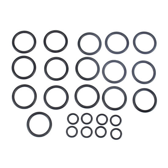 Main control valve Seal kit JCB 25/223447 WYS