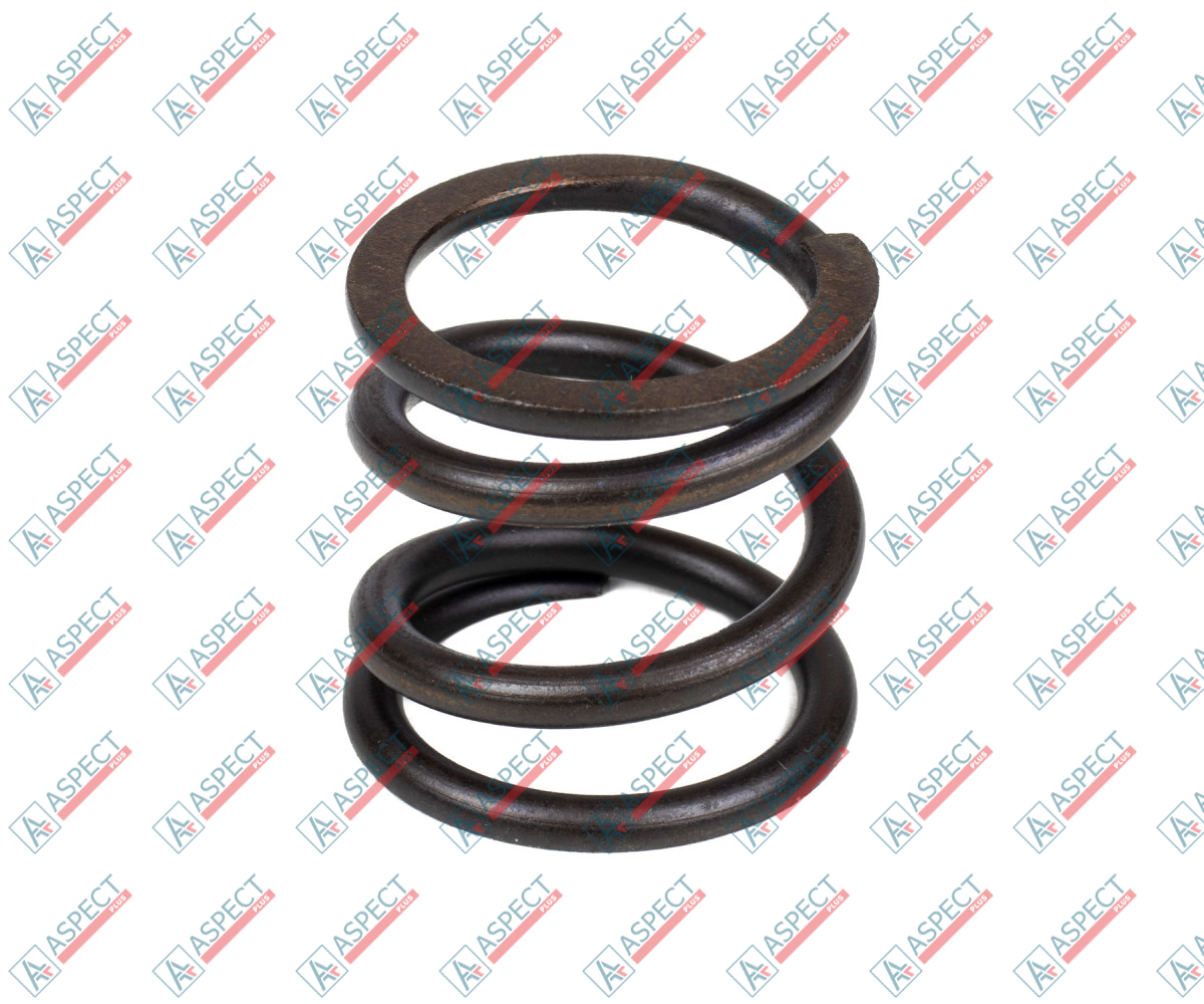 Coil Spring A4VG40 S80-004338 SKS