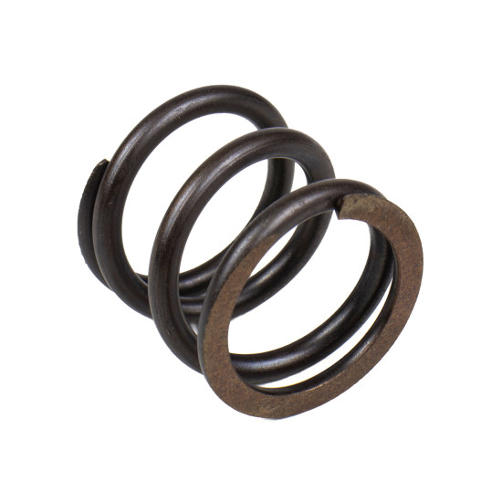 Spring of Rotor Bosch Rexroth R909449750 SKS