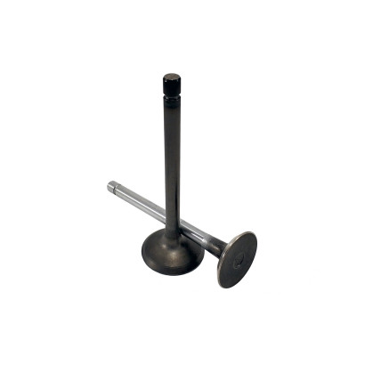 Exhaust Valve Isuzu 8970346284 Genuine