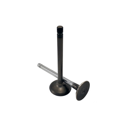 Exhaust Valve Isuzu 8970346284 Genuine