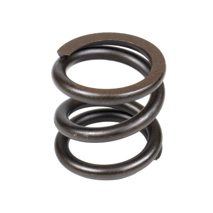 Spring of Rotor Bosch Rexroth R909435649  SKS