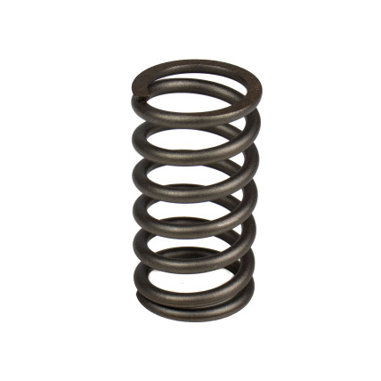 Spring of Rotor Bosch Rexroth R910924891 SKS