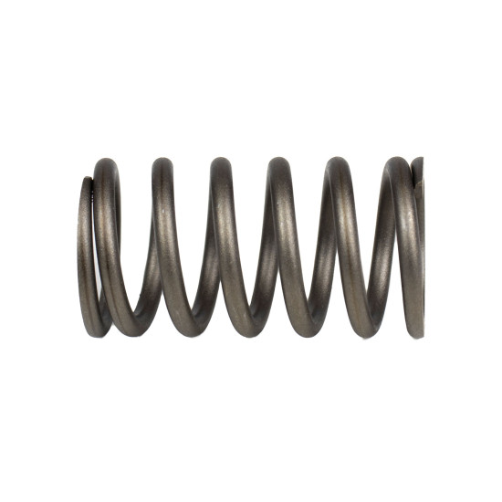 Spring of Rotor Bosch Rexroth R910924891 SKS