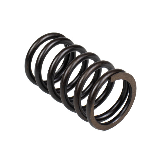 Spring of Rotor Bosch Rexroth R910975251 SKS